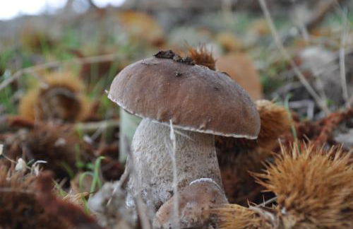 Casa Rural Margarita II - Foto 11