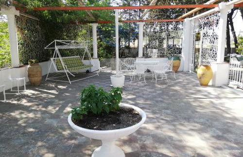 Wild Paradise - Foto 13