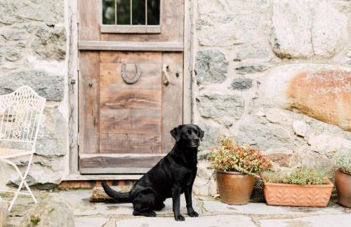 The Stable at Ty Beic - Foto 7