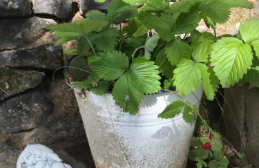 Wanderer Paradies - Foto 26