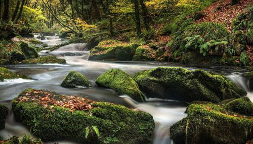 4 Horizon View - Foto 5