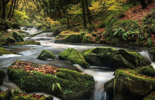 4 Faraway Fields - Photo 24