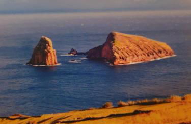 Apartamento T3 Ponta Delgada - Photo 52