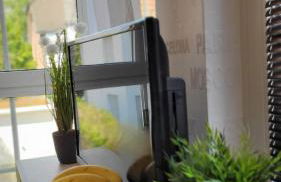 Berlin-Oase - schnuckelige Ferienwohnung an der Grenze zu Berlin - Foto 5