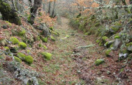 Apartamentos Turísticos Cabrera - Foto 36