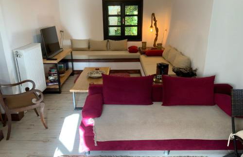 Pelion 7 Lives - Foto 15