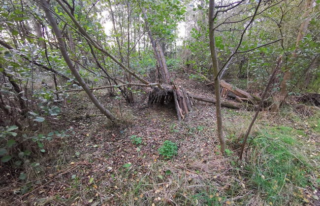 Secluded Holiday Home in Lolland near Sea - Foto 3