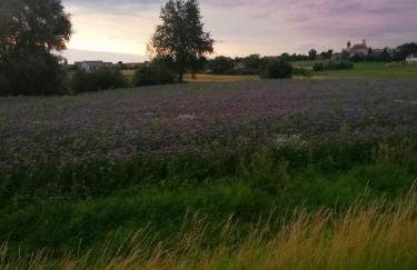 Haus Rosenbusch - Foto 2