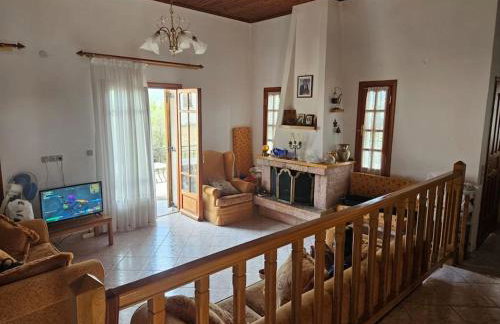 Ελαιώνας με θέα στο βουνό - Foto 3