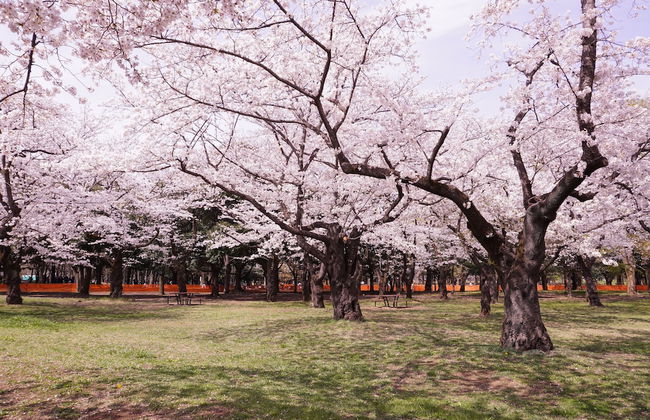 MIMARU Tokyo Shinjuku West - Foto 41