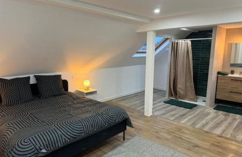 Maison aux portes de Strasbourg moderne et tout confort - Foto 10