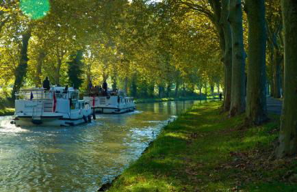 Le Voltaire - Foto 43