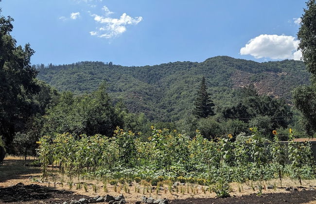 Blue Lakes Village - Foto 80