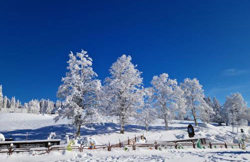 Altes Zollhüsli - Foto 13