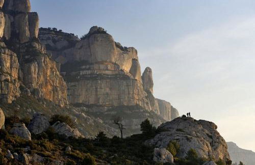 Mas Perdiueta - Foto 44