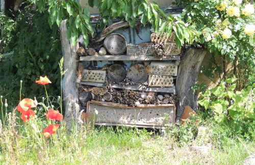 Kranichruf - Photo 6