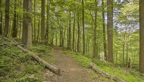 Cozy Cockeysville Retreat with Furnished Deck! - Photo 2