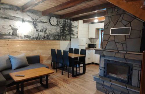 Domek Dzikusówka 1 Bieszczady Solina Polańczyk Zawóź Cisna - Foto 1