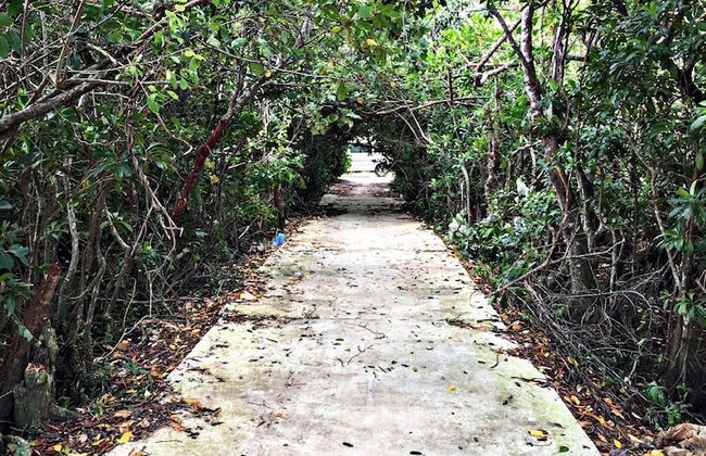 Thaaru Guest - Foto 33