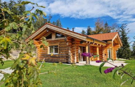 Franz Josefs Chalets - Foto 23