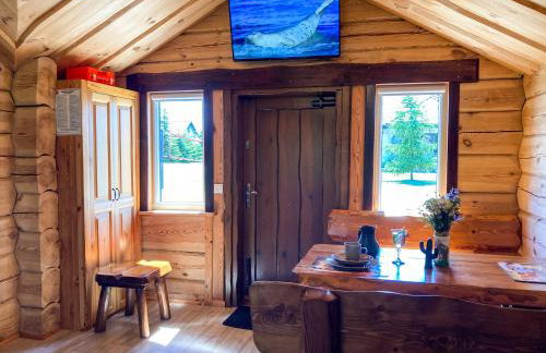 Domki Kaktus - Foto 23