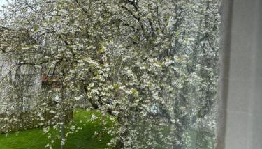 Dumfries Apartment 2 - Photo 2