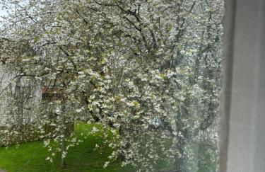 Dumfries Apartment 2 - Photo 2