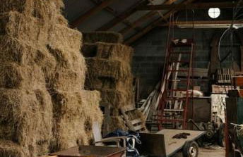 CRESSY HALL - Historic Grade II Listed Manor, Gorgeous Topiary Garden - Foto 63