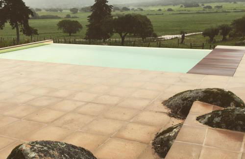 Almojanda 3 olive tree - Foto 14