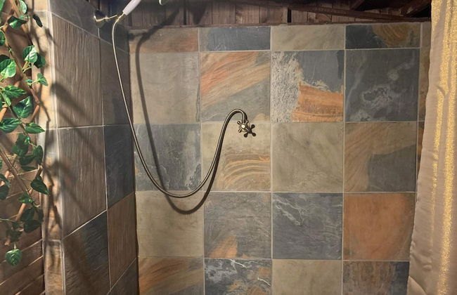 Starry Meadow - Foto 6