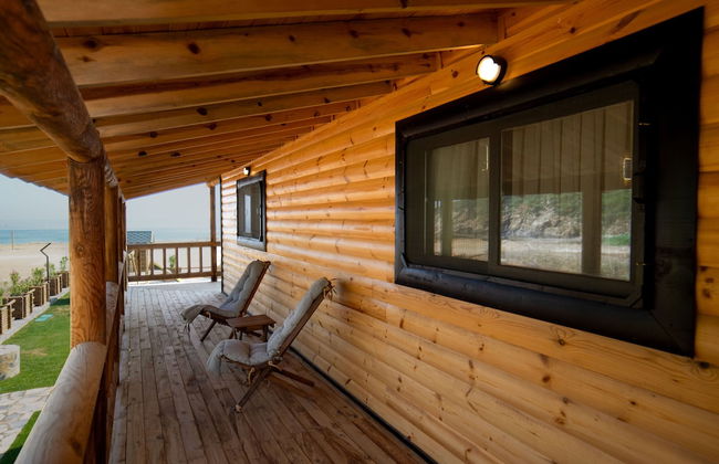 MUKHA ORMANLİ - Photo 40