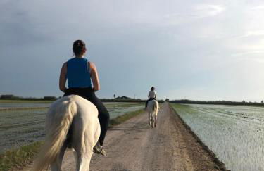 Valmar Resort Apartment - Photo 28