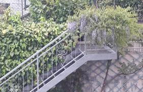 La gazza allegra - Foto 9