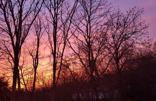 Studio EifelGlück - Foto 17