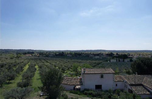 luxury mas with private infinity pool in the heart of the alpilles, 10 persons - Foto 58