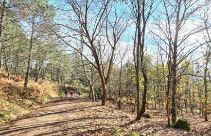 Casa CAMPELO- Playas de Pinténs - CANGAS-HIO- Ría de Aldán - Foto 33