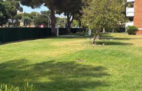 Apartamento Portisol - Foto 7