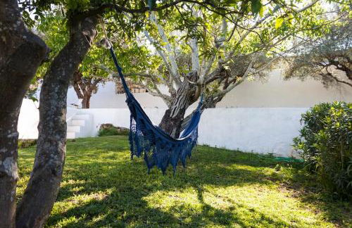 Horta das Laranjas - Foto 21