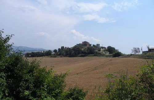 Agriturismo La Terrazza - Photo 49