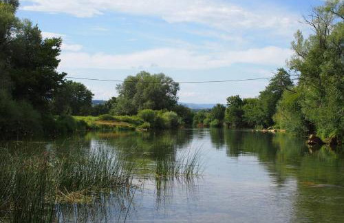 ČAROBNA ŠUMA ***(magic forest) - Foto 24