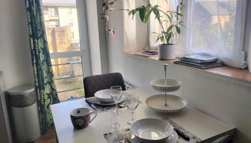 Appartement T2 "JUNGLE" Centre Ville de VITRÉ au calme coté cour - Foto 5