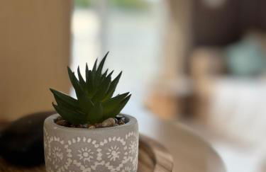 Welsh Bayview Retreat 2-Bed Caravan & 2-Bed Chalet at Clarach Bay Holiday Village - Foto 25