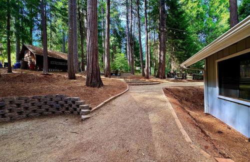 Cabin in the Trees-Game Room - Foto 48