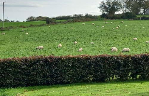 Bramble Cottage - Foto 15