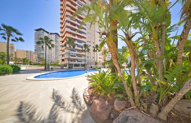 Coral Beach 02 - Foto 12