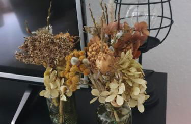 Ferienwohnung in Durbach- Urlaub am Weinberg - Foto 34