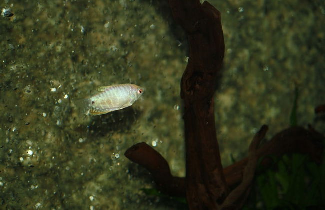 Casa da fonte - Foto 22