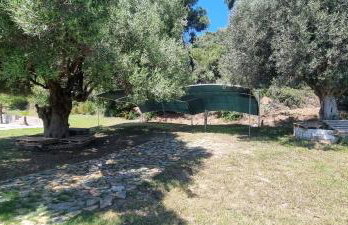 Seaside studio with swimming pool & parking #2 - Foto 24