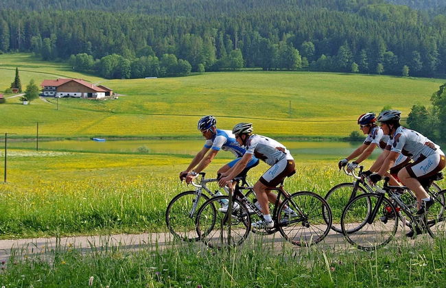 Ferienwohnungen Thanner - Foto 29