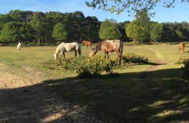 Little Banks Cabin - Foto 36